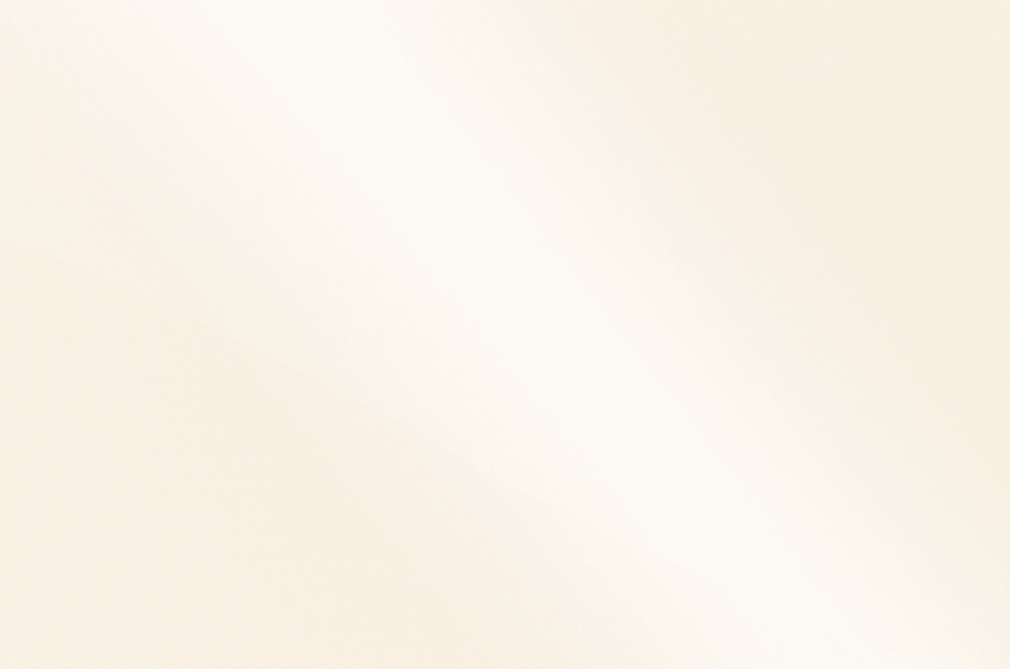 38 MM APL   3876 BS  4100/600